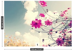 Fotótapéta virágok kozmosz 104x70 cm