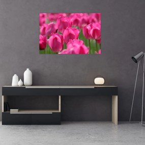 Kép - Rózsaszín tulipánok (90x60 cm)