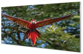 Üvegképek Ara papagáj 120x60cm