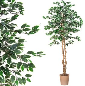 PLANTASIA Műnövény fikusz 190 cm