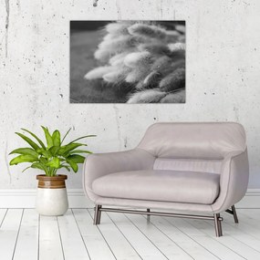 Kép - nyúlfarknyi fű az asztalon (70x50 cm)