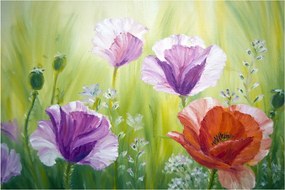 Kép - Pipacsok (90x60 cm)