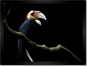 Poszterek keretben 40x30 Papagáj az ágon