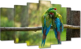 Vászonkép 140x80 Papagájok Madarak