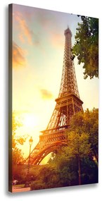 Vászonfotó Párizsi eiffel-torony ocv-112422596