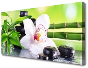 Vászonkép Orchid bambusz levelek 120x60 cm