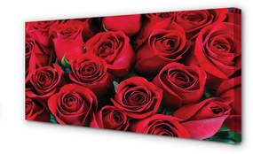 Canvas képek Roses 120x60 cm
