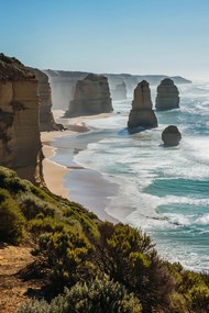 Poszter 40x60cm Szél ösvény