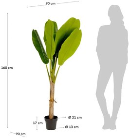 Pálma műnövény (magasság 160 cm) Baa – Kave Home