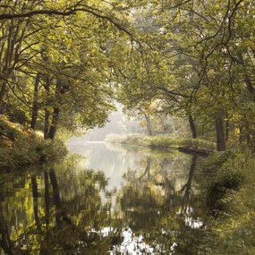 Poszter 60x60cm Basingstoke csatorna 2, Assaf Frank