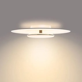 Philips- LED Dimmelhető mennyezeti lámpa GARNET SCENE SWITCH LED/40W/230V 2700K