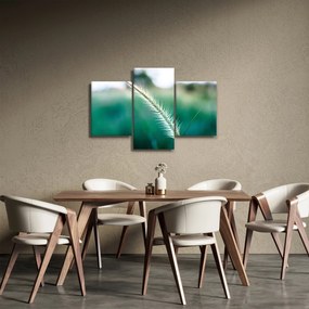 Fűszál képe (90x60 cm)