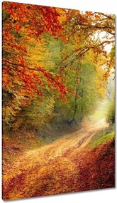 Vászonkép 80x120 Út az erdőben ősz