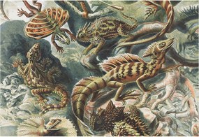 Fotótapéta Fali tapéta Hálószoba Nappali Egzotikus hüllők 152x104 Ragasztó