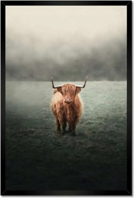 Poszterek keretben 40x60 Mint a szarvak Hegyi rét