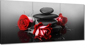 Vászonkép 180x90 Vörös rózsák Spa