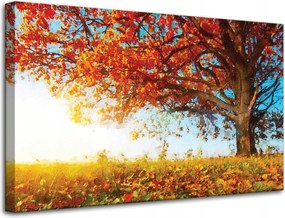 Vászonkép Gyönyörű Fa Piros Levelek Ősz 80x50 cm