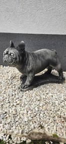 Kutya figura Francia bulldog Nagy beton kutyus kerti dekoráció XXL
