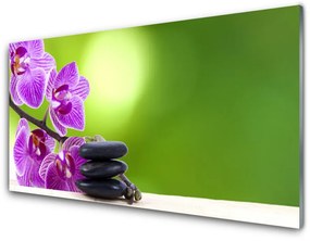 Üvegkép Orchideák zöld virágok 100x50 cm