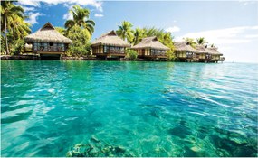 Fotótapéta Tengerpart Pálmafák Ég Fotótapéta 312 x 219 224VEXXL