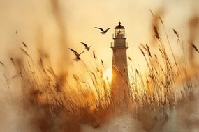 Canvas Vászonkép Világítótorony Naplemente Sirályok 60 x 40