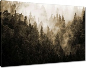 Vászonkép 100x70 Tájkép Szépia Hegyek Köd