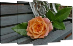 Vászonkép 100x60 Rózsa Virág Virágok Rózsa