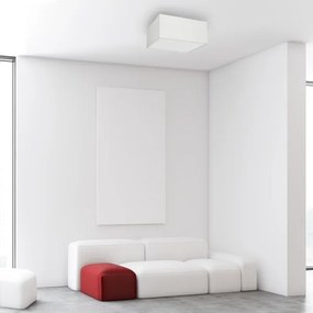 Mennyezeti lámpa ALBION 2xE27/60W/230V