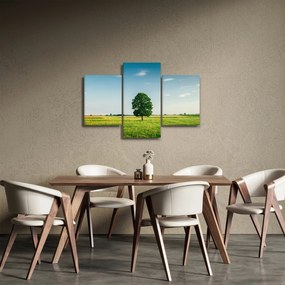Fa képe a réten (90x60 cm)