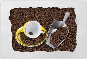 Poszterek 90x60 Természetes kávé szemes