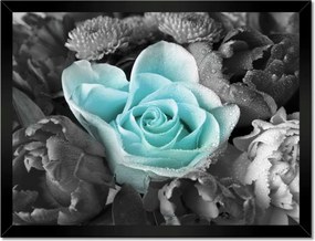 Poszter keretben 40x30 Türkiz rózsa