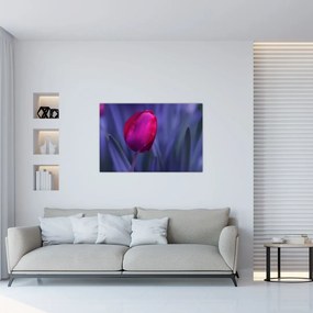 Tulipán bimbó képe (90x60 cm)