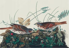 Flizelin fotótapéta Flizelin Design A természet varázsa 208x146 Ragasztó