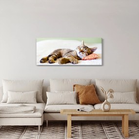 Kép - alvó cica (120x50 cm)