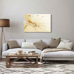 Kép - Makro fotó pitypangról (90x60 cm)