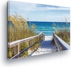 Vászonkép 80x60 Tengerpart óceán ösvény homok nyár nyugalom természet nap