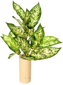 Mű Dieffenbachia, zöld, 45 cm