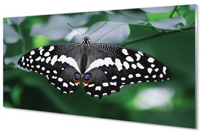 Üvegképek Színes pillangó levelek 120x60cm