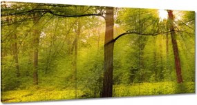 Festmények 180x90 Varázslatos erdő Tájkép