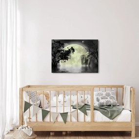 Kép - Telihold a felszín felett, fekete-fehér változat (70x50 cm)