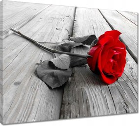 Vászonkép 50x40 Vörös rózsa a deszkákon