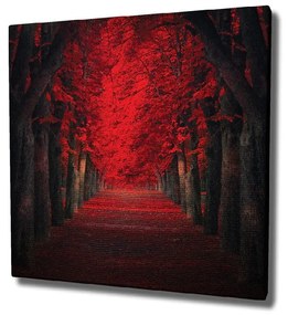 Red Trees vászon fali kép, 45 x 45 cm