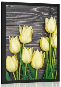 Poszter sárga tulipánok fa háttéren
