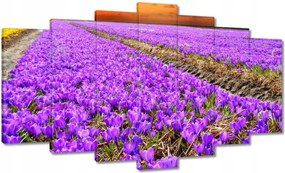 Vászonkép 140x80 A krókuszok tengere