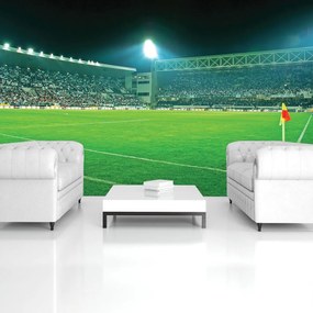 Fotótapéta - Futballpálya (152,5x104 cm)