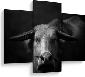 Kép - Tehén (90x60 cm)