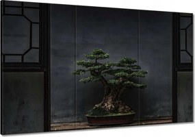 Festmények 120x80 Bonsai Fa Kultúra