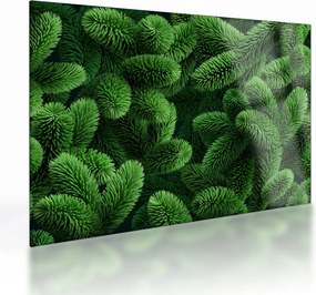 Kép - Tűlevelű gallyak (üvegen) (70x50 cm)