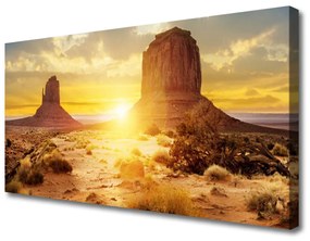 Vászonkép Desert Sun Landscape 100x50 cm
