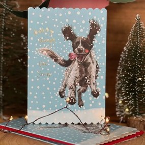 Karácsonyi spániel a hóban